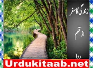 Read more about the article Zindagi Ka Safar Urdu Novel By Rida Download
