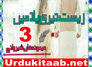 Read more about the article Zist Teri Yaad Main Urdu Novel By Memoona Khan Sherwani Episode 3 Download