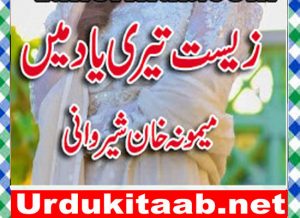 Read more about the article Zist Teri Yaad Main Urdu Novel By Memoona Khan Sherwani Episode 5 Download