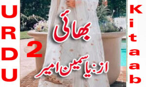 Read more about the article Bhai Urdu Novel By Yasmeen Amer Episode 2