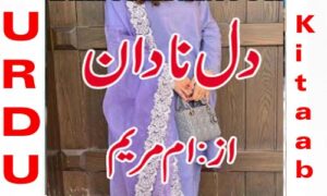 Read more about the article Dil E Nadaan Urdu Novel By Umme Maryam