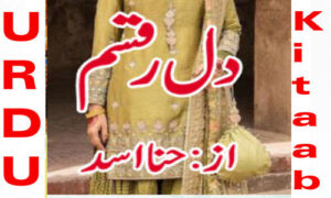 Read more about the article Dil E Raqsam Urdu Novel By Hina Asad