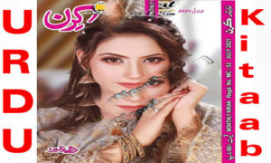 Read more about the article Kiran Digest July 2021 Read and Download