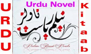 Read more about the article Neelam Riasat Novel List Download