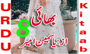 Read more about the article Bhai Urdu Novel By Yasmeen Amer Episode 8