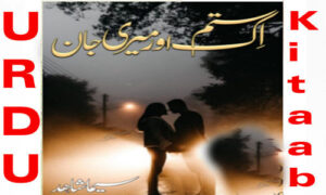 Read more about the article Ik Sitam Aur Meri Jaan Complete Novel By Seema Shahid