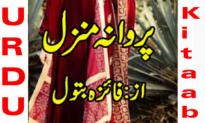 Read more about the article Parwana E Manzil Urdu Novel By Faiza Batool