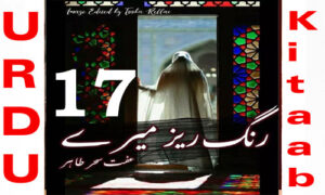 Read more about the article Rang Rez Mere Urdu Novel By Iffat Sehar Tahir Episode 17