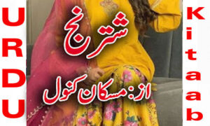 Read more about the article Shatranj Urdu Novel By Muskan Kanwal