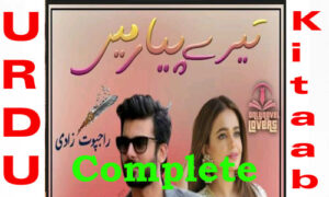 Read more about the article Tere Piyar Mein Complete Urdu Novel by rajpoot zadi