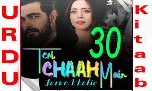 Read more about the article Teri Chah Main Urdu Novel By Farwa Khalid Episode 30