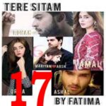 Tery Sitam Urdu Novel by Fatima Episode 17
