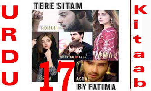 Tery Sitam Urdu Novel by Fatima Episode 17
