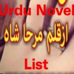 Urdu Novel