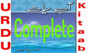Read more about the article Aab e Hayat By Umera Ahmed Complete Urdu Novel