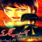 Aasaib Nagri By MA Rahat Complete Novel