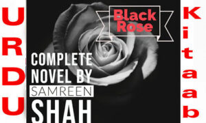 Read more about the article Black Rose By Samreen Shah Complete Novel Free Download