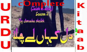 Read more about the article Dil Kahan Ley Chala By Amrah Sheikh Season 2 Complete Novel