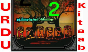 Read more about the article Fareeb by Umaima Mukarram Romantic Novel Episode 2