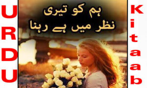 Read more about the article Ham Ko Hay Teri Nazar Mein Rehna Novel by Maryam Aziz