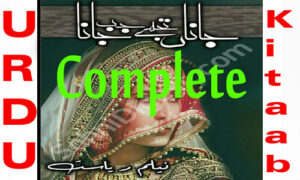 Read more about the article Jana Tujhe Jab Jana By Neelam Riasat Complete Novel