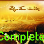 Jannat Kay Pattay By Nimra Ahmed Complete Novel