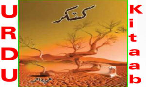 Read more about the article Kankar by Umera Ahmed Complete Novel