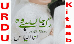 Read more about the article Rag E Jaan Hai Woh By Ana Ilyas Complete Novel Free Download
