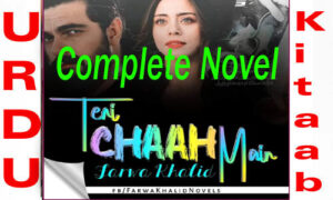 Read more about the article Teri Chah Main Complete Novel By Farwa Khalid