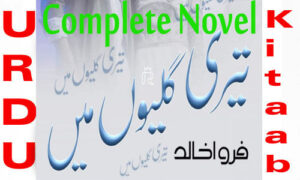 Read more about the article Teri Galiyon Mein Complete Novel By Farwa Khalid