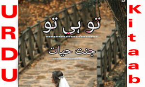 Read more about the article Tu Hi Tu By Jannat Hayat Complete Novel Free Download