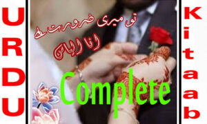 Read more about the article Tu Meri Zaroorat Hai By Ana Ilyas Complete Novel