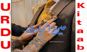 Read more about the article Ain ul Hayat by Mirha Noor Urdu Novel