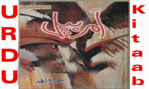 Read more about the article Amar Bail By Umera Ahmed Urdu novel