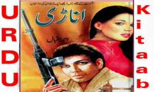Read more about the article Anari By Ahmad Iqbal Complete Novel