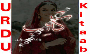 Read more about the article Kaatib By Ayesha Sikander Ghazi Complete Novel