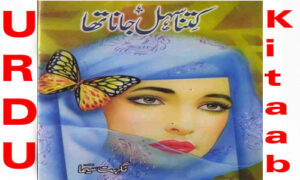 Read more about the article Kitna Sehal Jana Tha By Nighat Seema Complete Novel