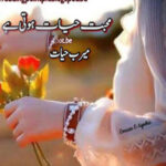 Mohabbat Hayat Hoti Hai By Meerab Hayat Complete Novel