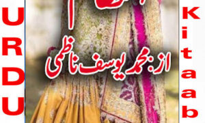Read more about the article Mohammad Yousaf Nazmi Urdu Novel List