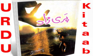 Read more about the article Pari Zaad By Hashim Nadeem Urdu Novel