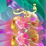 Qurbat By Zainab Complete Novel