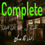 Sham Ki Haveli Mein By Rukhsana Nigar Adnan Complete Novel