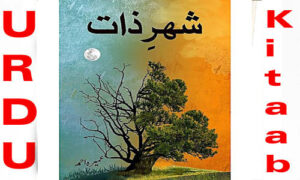 Read more about the article Sheher E Zaat By Umera Ahmed Urdu Novel