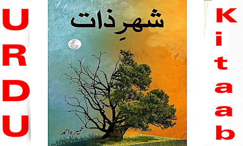 Sheher E Zaat By Umera Ahmed Urdu Novel