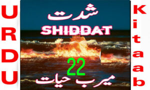 Read more about the article Shiddat Urdu Novel by Meerab Hayat Episode 22