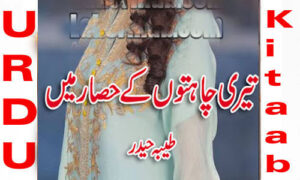 Read more about the article Teri Chahaton Ke Hisar Mein By Tayyaba Haider Urdu Novel