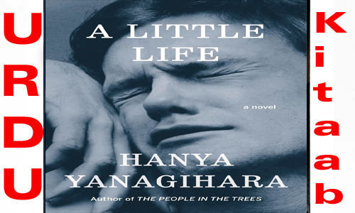 A Little Life by Hanya Yanagihara English Novel