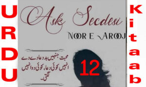 Read more about the article Ask Secdesi By Noor E Arooj Urdu Novel Episode 12
