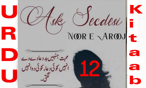 Ask Secdesi By Noor E Arooj Urdu Novel Episode 12