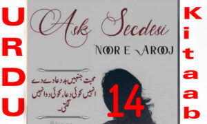 Read more about the article Ask Secdesi By Noor E Arooj Urdu Novel Episode 14